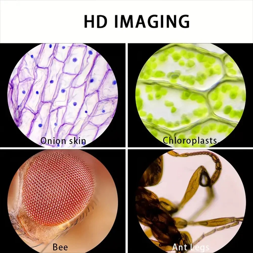 XC Microscope 60-120x Lab Hand - Microscope Kids Science 评论和价格